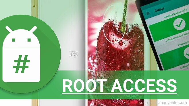 Cara Mudah Root Lava Iris X1 Anti Gagal